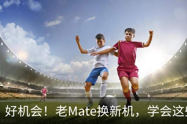 好机会！老Mate换新机，学会这些让你心里有底！